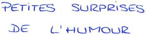 PETITES SURPRISES DE L'HUMOUR_logo