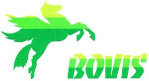 BOVIS_logo