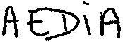 FMARK0000000003421010