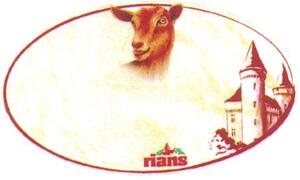 RIANS_logo