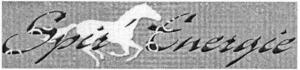 SPIR'ENERGIE_logo