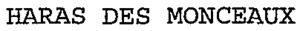 HARAS DES MONCEAUX_logo