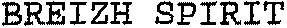 BREIZH SPIRIT_logo