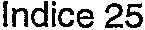 Indice 25_logo