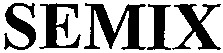 SEMIX_logo