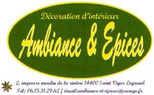 DECORATION D'INTERIEUR AMBIANCE & EPICES_logo
