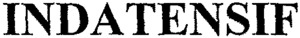 INDATENSIF_logo