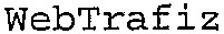 WebTrafiz_logo