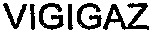 VIGIGAZ_logo