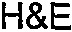 H&E_logo