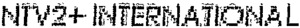 NIV2+ INTERNATIONAL_logo