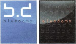 B.D BLUEDOME_logo