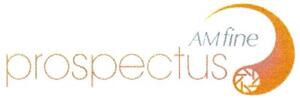 AM fine prospectus_logo