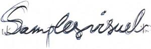 Samplesvisuel_logo