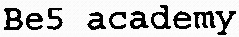 Be5 academy_logo