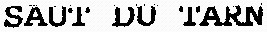 SAUT DU TARN_logo