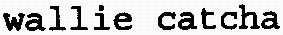 wallie catcha_logo