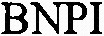 BNPI_logo