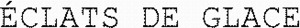 ÉCLATS DE GLACE_logo