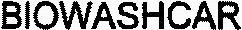 BIOWASHCAR_logo