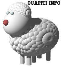 OUAPITI INFO_logo