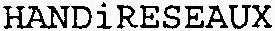 HANDiRESEAUX_logo