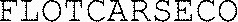 FLOTCARSECO_logo