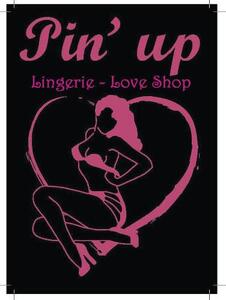 PIN UP LINGERIE - LOVE SHOP_logo