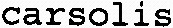 carsolis_logo