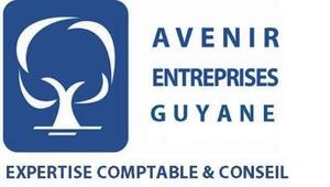 AVENIR ENTREPRISES GUYANE EXPERTISE COMPTABLE & CONSEIL_logo
