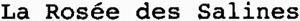 La Rosée des Salines_logo