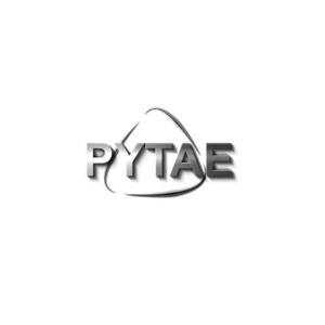 PYTAE_logo