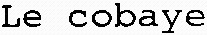 FMARK0000000003821007