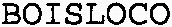 BOISLOCO_logo