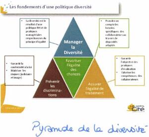 PYRAMIDE DE LA DIVERSITE_logo