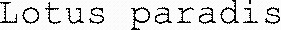 FMARK0000000003908172
