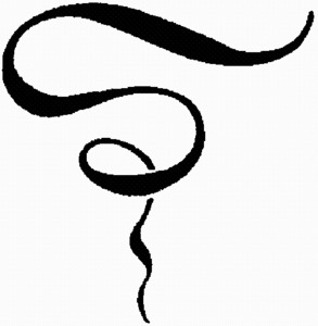 _logo