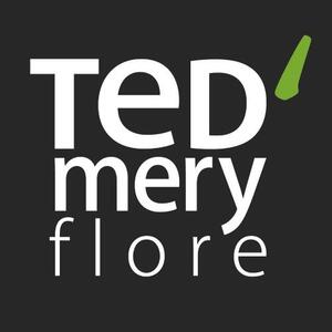 TED MERY FLORE_logo