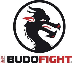 BUDOFIGHT_logo