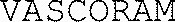 VASCORAM_logo