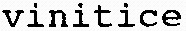 vinitice_logo
