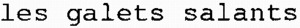 les galets salants_logo