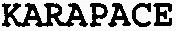 KARAPACE_logo