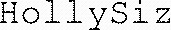 HollySiz_logo
