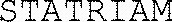 STATRIAM_logo