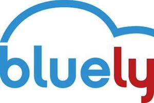 BLUELY_logo