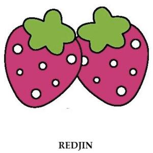 REDJIN_logo