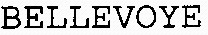 BELLEVOYE_logo