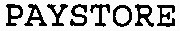 PAYSTORE_logo