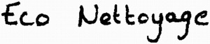 Eco Nettoyage_logo